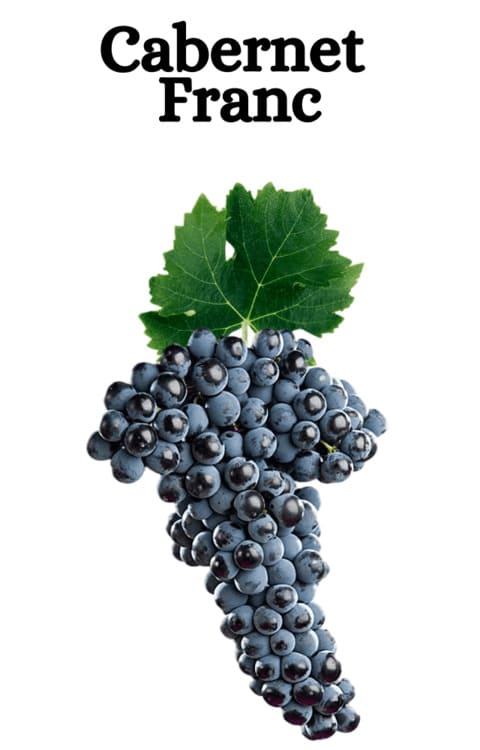 Cabernet Franc